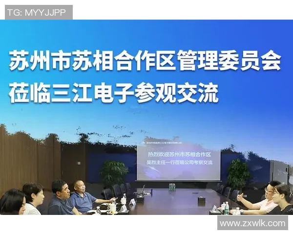 深圳排球队速度分析与战术创新的深度探讨